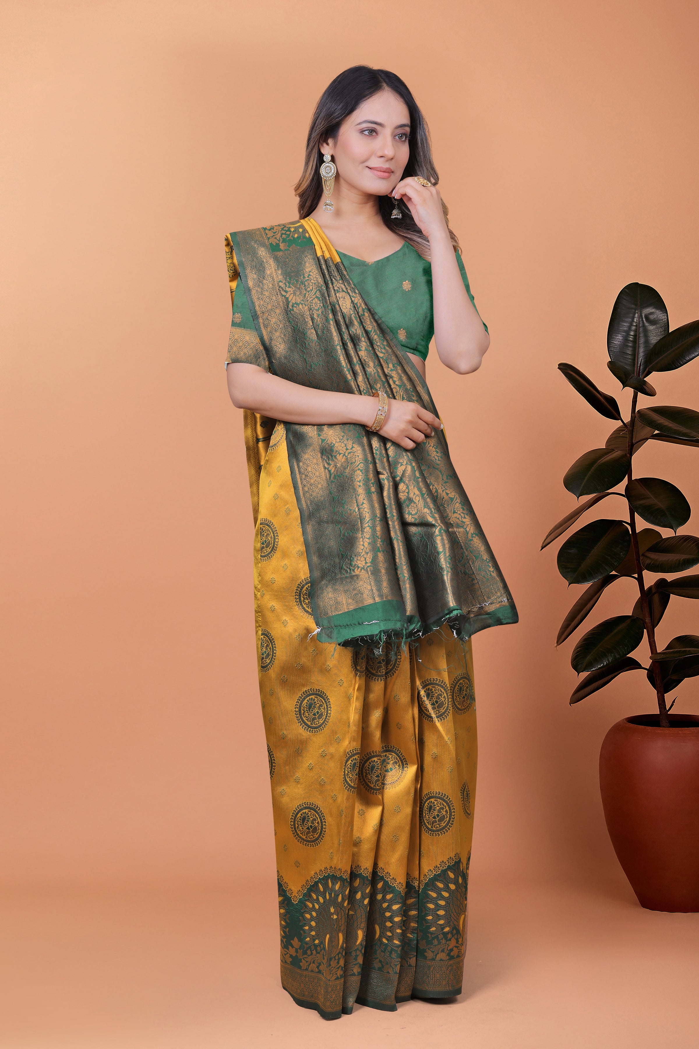 Banarasi Saree with Plum Borders with 8 Color